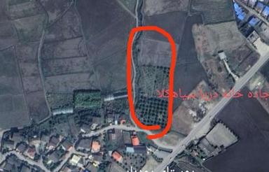 260 متر زمین تجاری مسکونی جاده اصلی خانه دریا