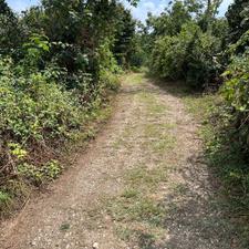 فروش 500متر زمین باغی مرمت ساری