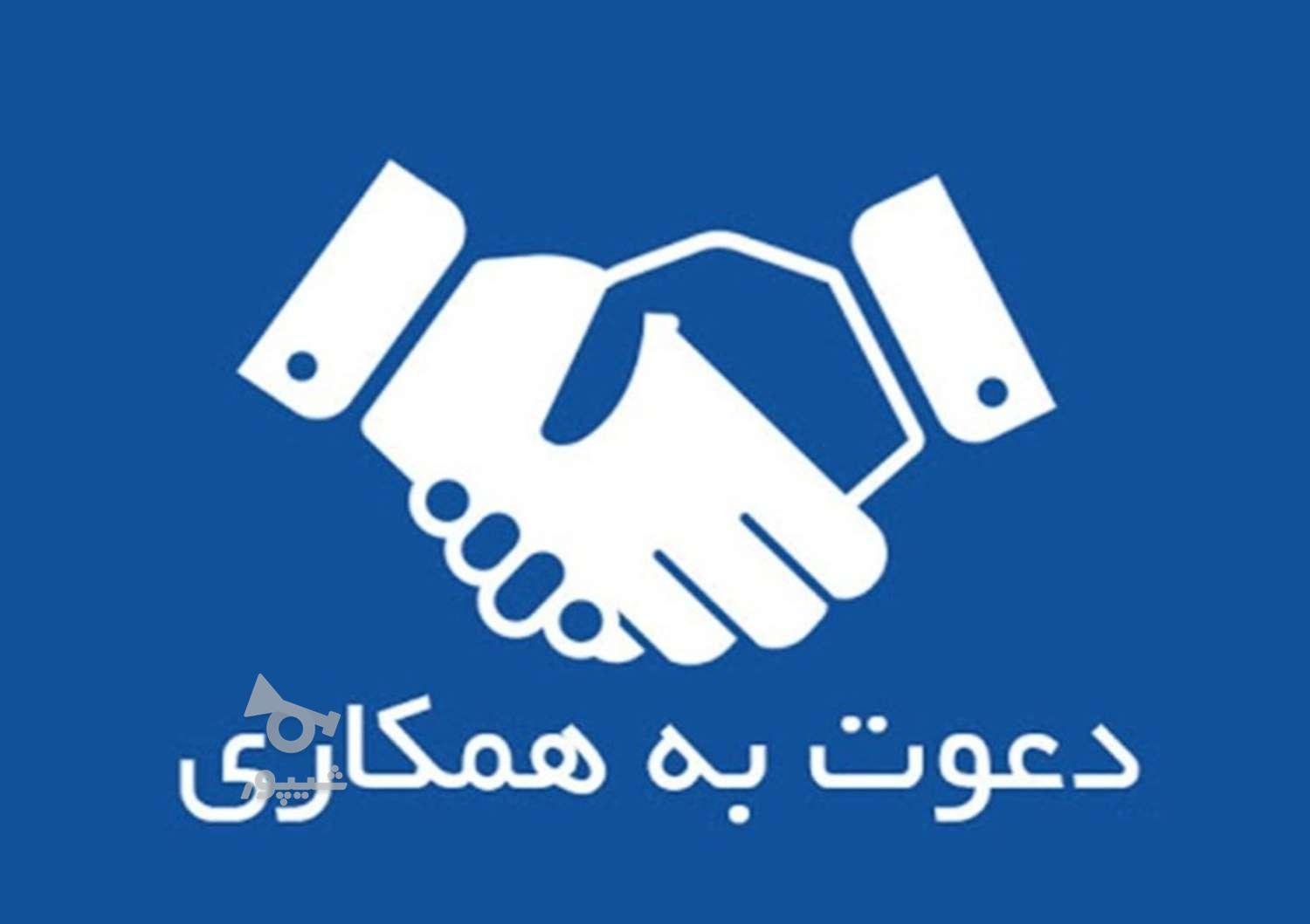 من ادمین طراحی بنر و لوگو و مترجم و تایپ هستم. - یاسمین موحد