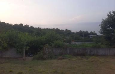 زمین کشاورزی 650 متر در وسطی کلا