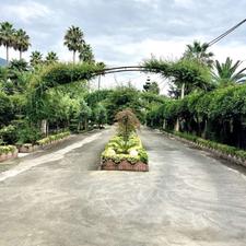 زمین مسکونی لاکچری در چلک/سند/دسترسی آسان