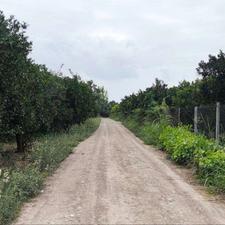 باغچه 660 متری دو نبش، چاه آب و برق، جاده دریا