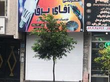 اجاره تجاری و مغازه 24 متر در مرکز شهر در شیپور