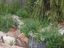 فروش زمین مسکونی 70 متر در مرکز شهر در شیپور