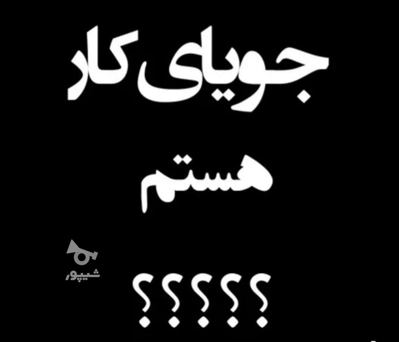 حسابداری مدیریت فروش مدیر داخلی و اجرایی - سحر معصومی
