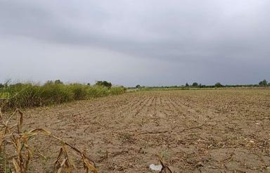 11 هزار متر زمین کشاورزی