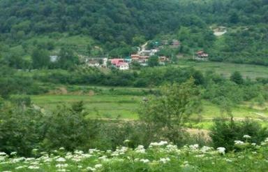 فروش زمین318 مترمربع واقع در سوادکوه،روستای جوارم