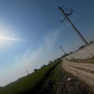 1710 متر باغ شافرا