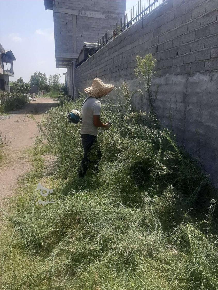 چمن زن باغ ویلا زمین خالی