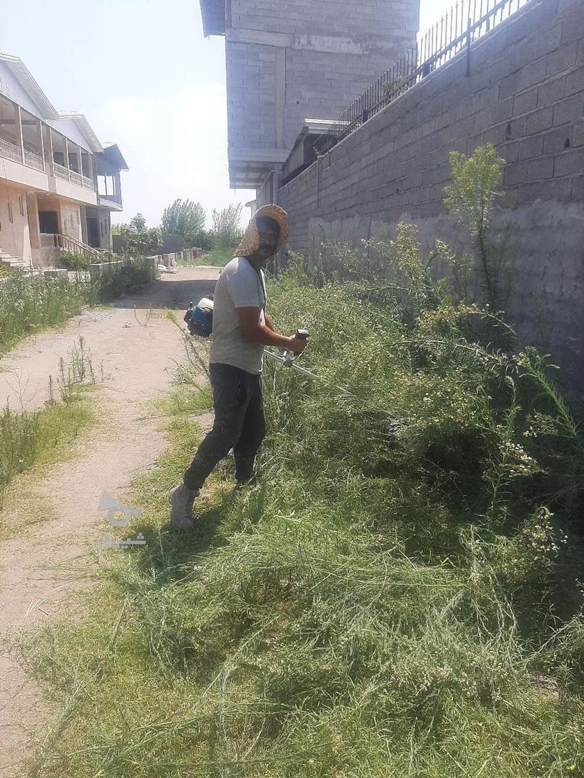 چمن زن باغ ویلا زمین خالی