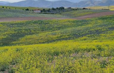 500متر/سرمایه گذاری امن و سودآور/سله بن/یهشت گمشده تهران/