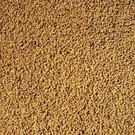بذر یونجه پایه بلند