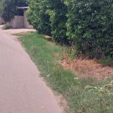 فروش زمین مسکونی 1000 متر در پارو محله منگلاب