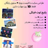 تخفیف ویژه طراحی سایت + سئو (فرصت محدود)