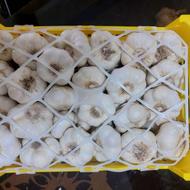 سیر و انواع مشتقات