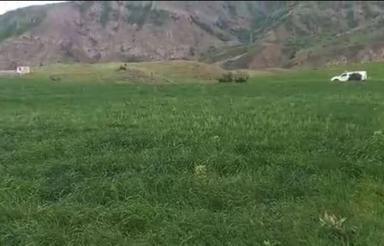 فروش زمین کشاورزی 8500 متر در دیلمان ایشکوه