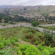 فروش زمین مسکونی 460 متر در چلاو