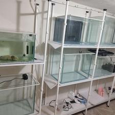 شیشه آکواریوم دست ساز و شرکتی