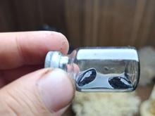 مهره مار اصل هند وارداتی دارای روغن مخصوص در شیپور