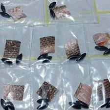 مهره مار اصل مخصوص