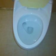 خدمات نظافت و مبل شویی حرفه ای در مناطق اسلامشهر و تهران