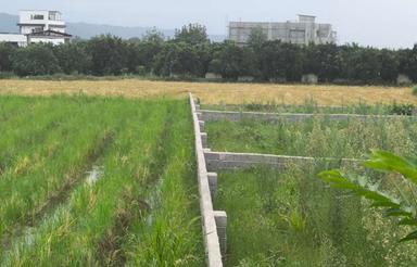 فروش زمین مسکونی 150متری ارزان