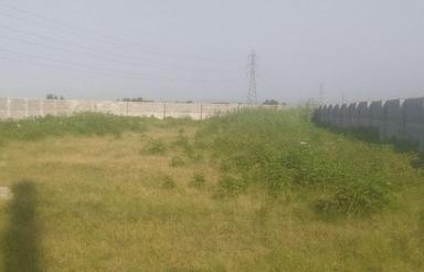 فروش زمین کشاورزی 1000 متری واقع در جاده کیاکلا