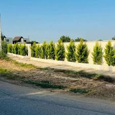 فروش زمین مسکونی 265 متر در اسفندان