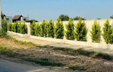 فروش زمین مسکونی 265 متر در اسفندان