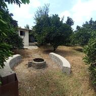 باغچه 1300متر/دوردیوارفنس