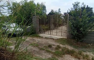 باغچه 1300متر/دوردیوارفنس