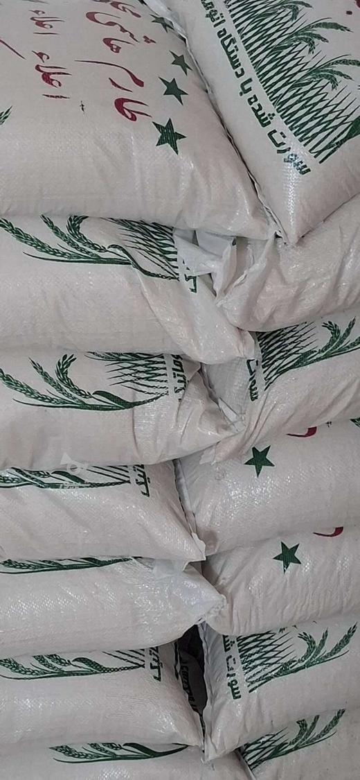 برنج طارم هاشمی محمود آباد