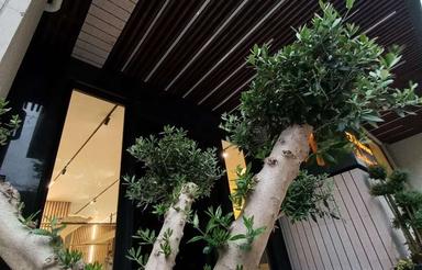 اجاره آپارتمان 180 متر در ولنجک