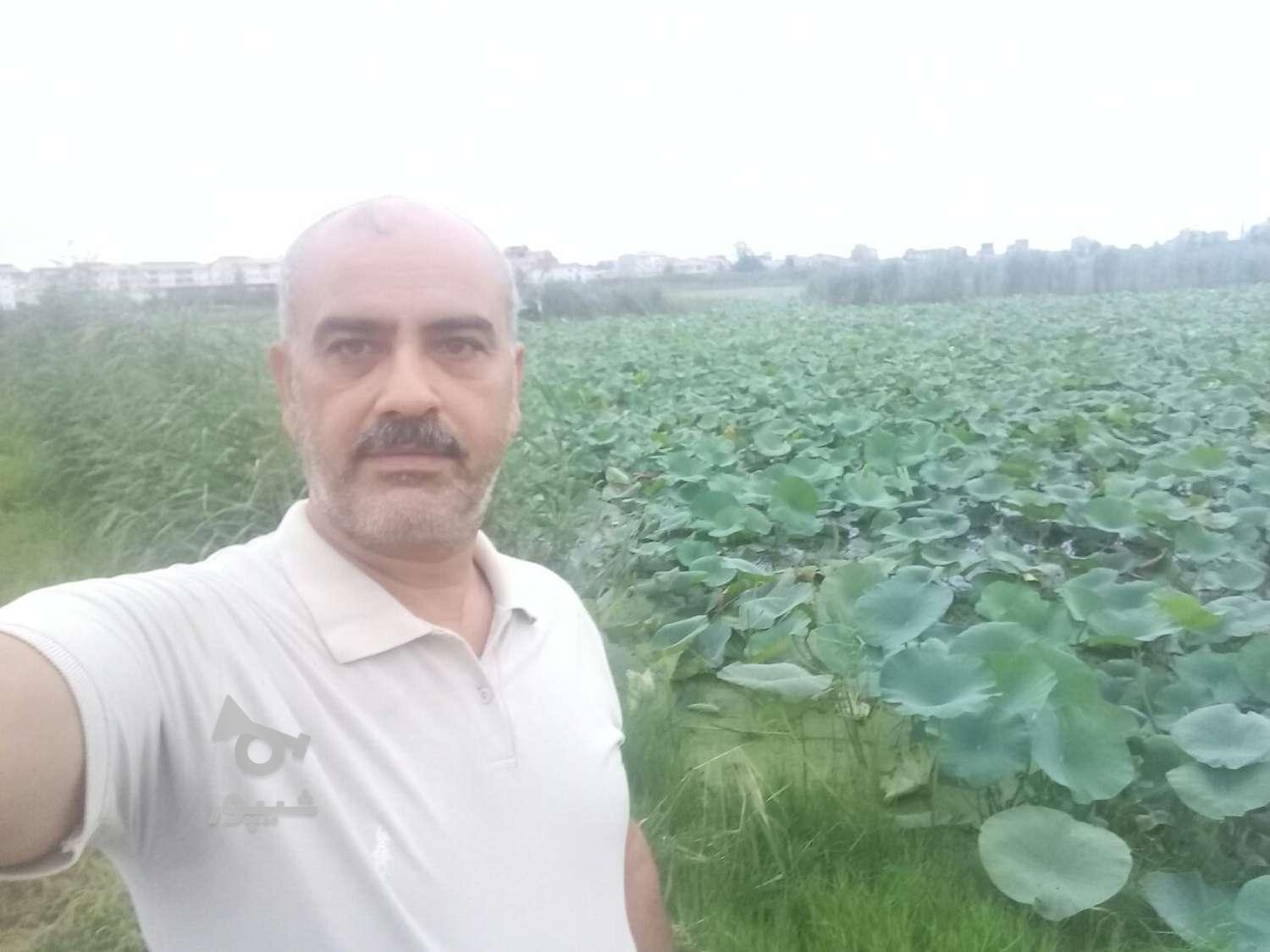 حراست ونگهبانی - undefined