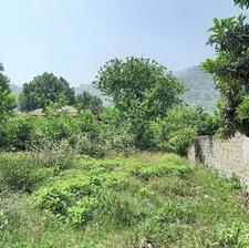 زمین مسکونی 260 متر در لیلاکوه