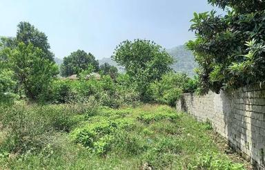 زمین مسکونی 260 متر در لیلاکوه