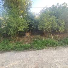 زمین روستایی مسکونی 500 متر در کتشال/معاوضه