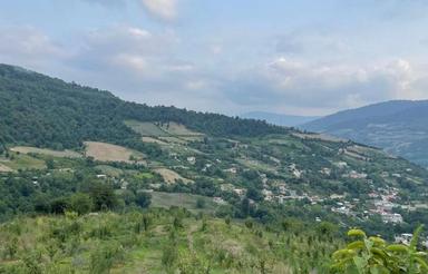 فروش زمین 1000 مترباغ گلابی در کلیجان رستاقبام گلورد