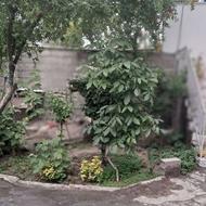 فروش خانه کلنگی 235 متری در بلوار ساحلی