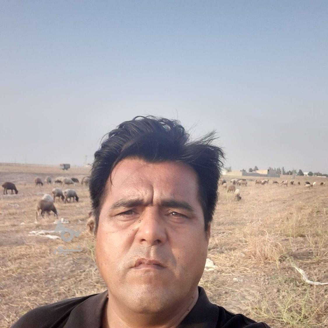 کارگر ساده هستم - undefined
