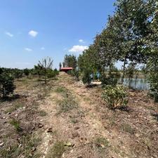 فروش باغ دو هکتاری با امتیاز برق در مرکز شهر