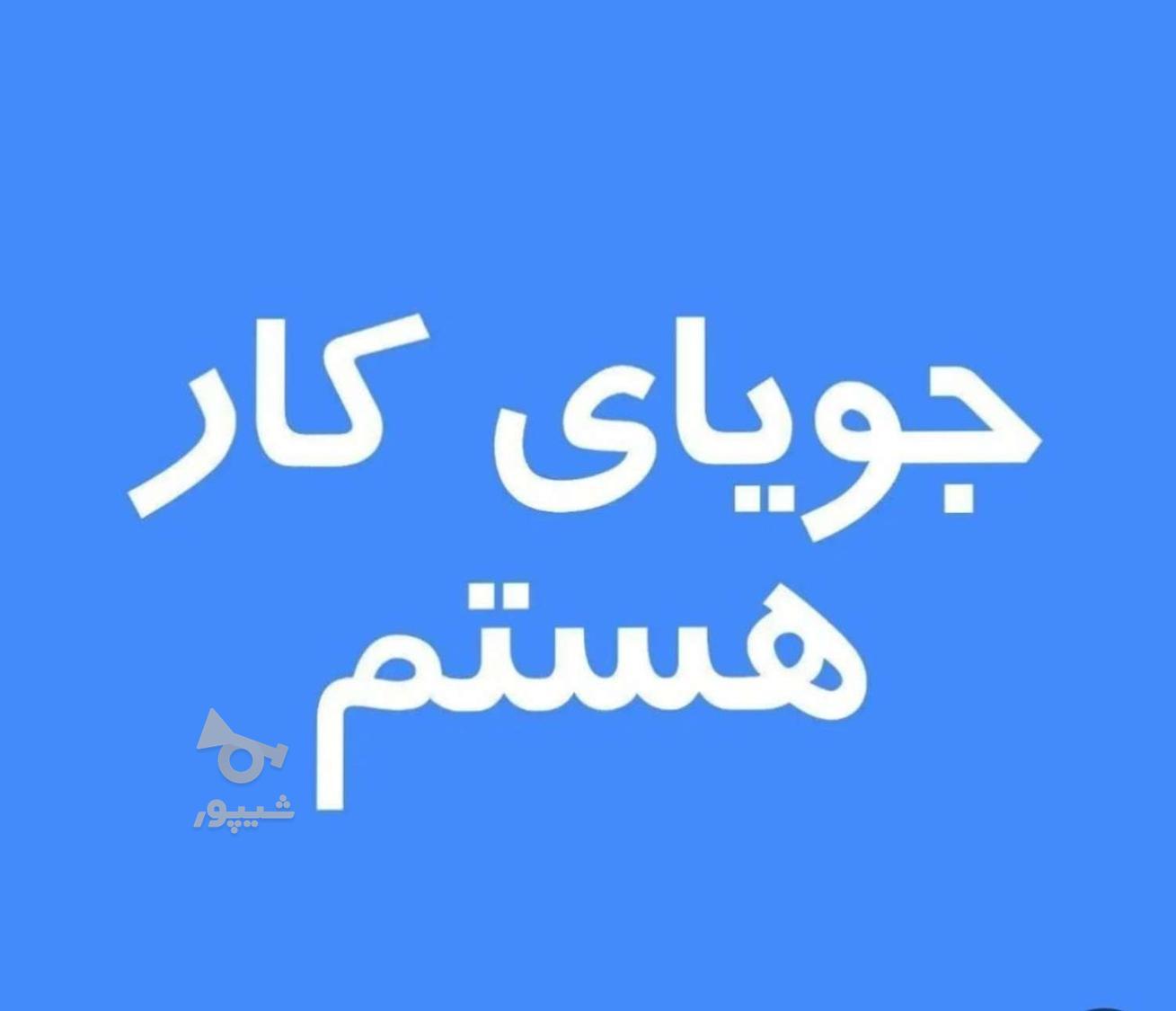 دنبال کار هستم بعدازظهر (نگهبان راننده نظافتچی غیره - undefined