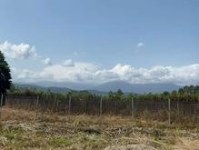 فروش زمین کشاورزی 980 متر در تنکابن آبکله سر در شیپور