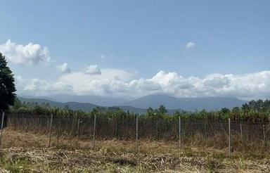 فروش زمین کشاورزی 980 متر در تنکابن آبکله سر