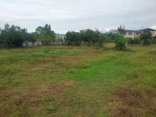 فروش زمین مسکونی 2000 متر در گراکو در شیپور