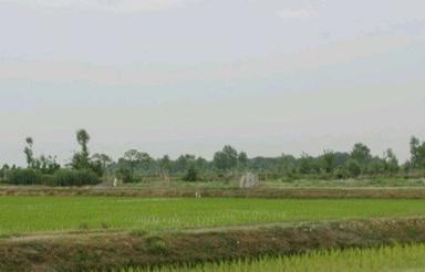 فروش زمین کشاورزی 50000 متر در سوخته کوه