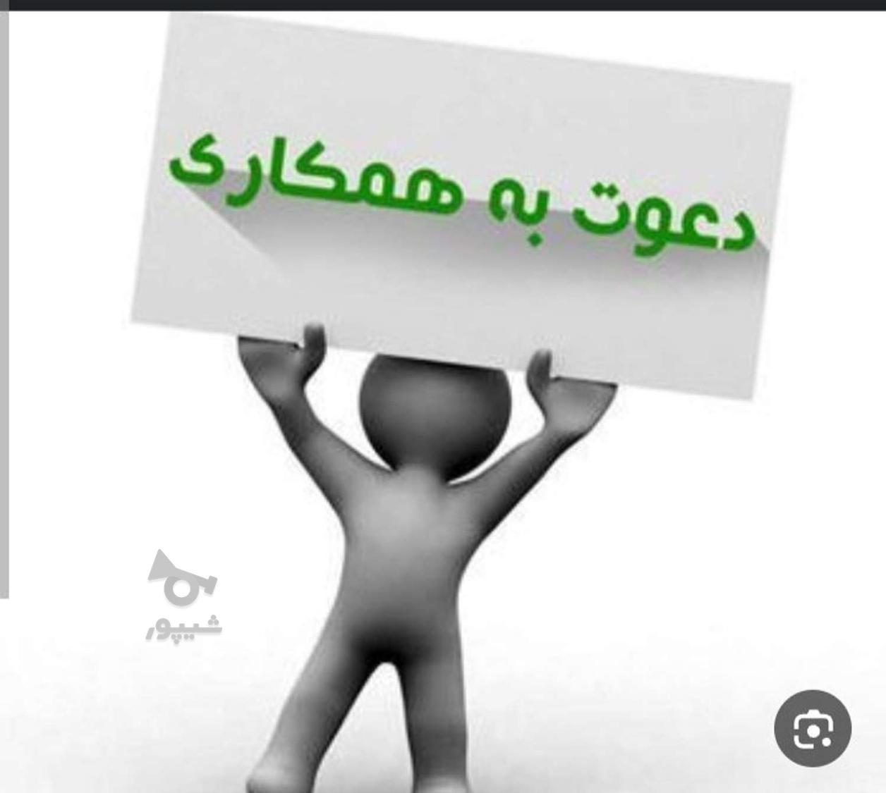 شاگرد کبابی خیابانی گلشهر - undefined