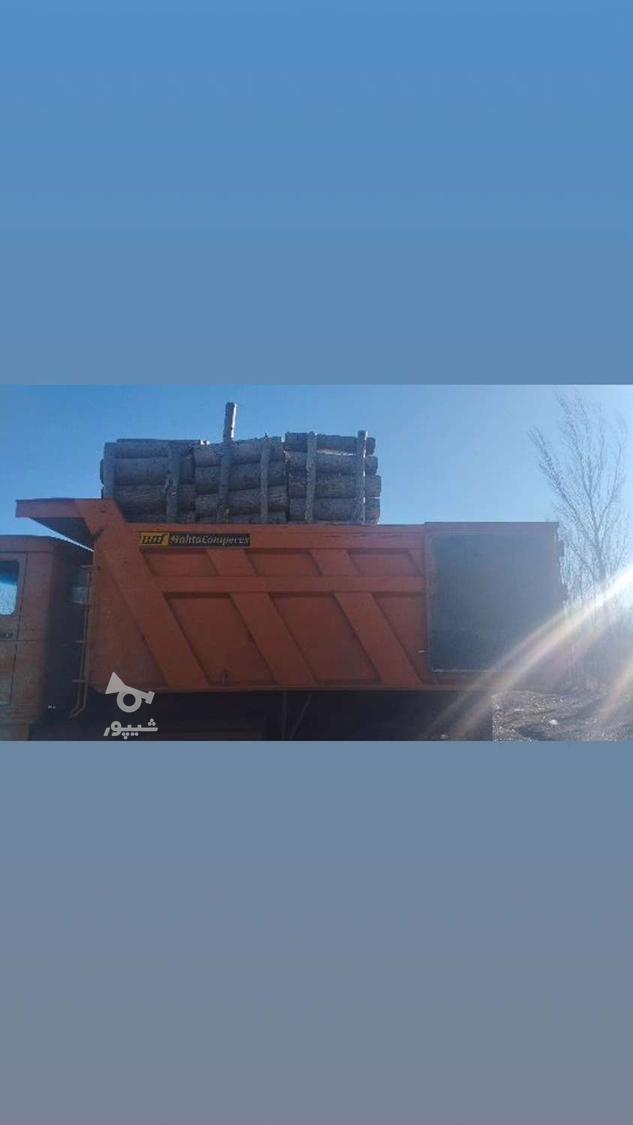خرید و فروش درخت