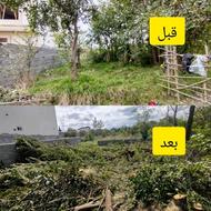 خدمات علفتراشی و قطع درخت ، خرید درخت