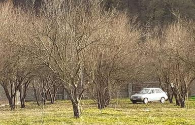 زمین مسکونی 1838 متر در پیرنعیم